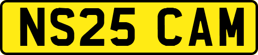 NS25CAM