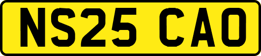 NS25CAO