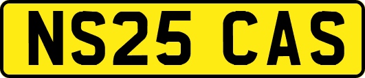 NS25CAS