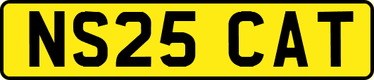 NS25CAT