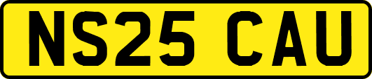 NS25CAU