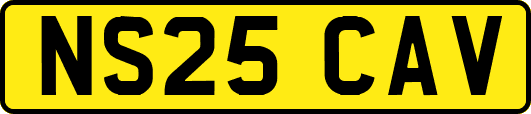 NS25CAV
