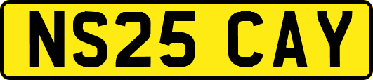 NS25CAY