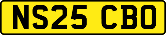NS25CBO