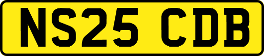 NS25CDB