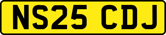 NS25CDJ