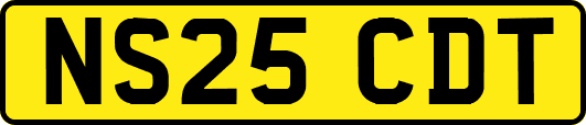 NS25CDT