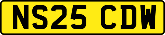 NS25CDW