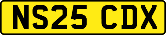 NS25CDX