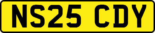 NS25CDY