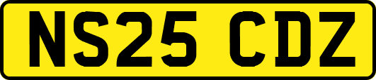 NS25CDZ