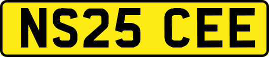 NS25CEE