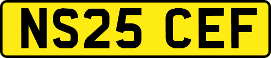 NS25CEF