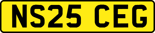 NS25CEG