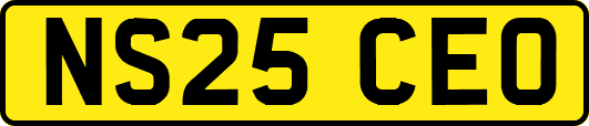 NS25CEO