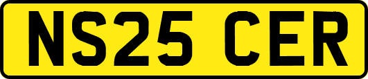 NS25CER