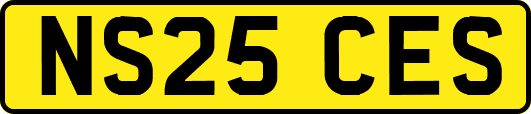 NS25CES