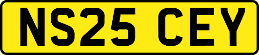 NS25CEY