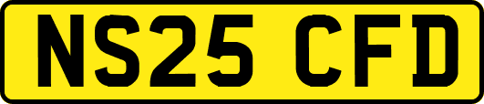 NS25CFD