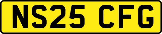 NS25CFG