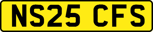 NS25CFS