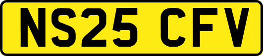 NS25CFV