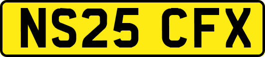 NS25CFX
