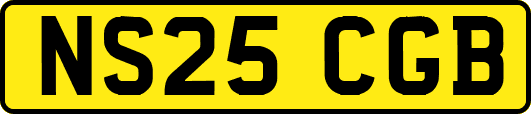 NS25CGB
