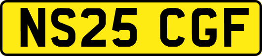 NS25CGF