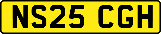 NS25CGH