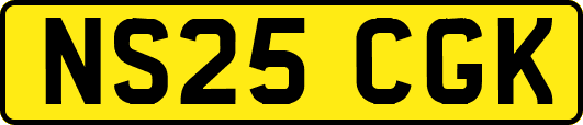 NS25CGK