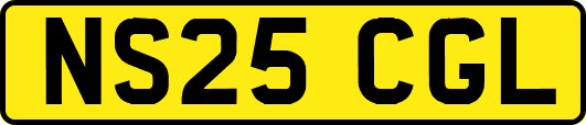 NS25CGL