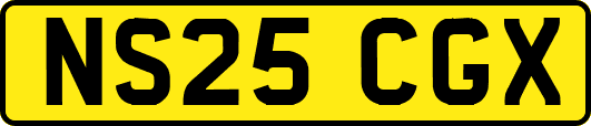 NS25CGX
