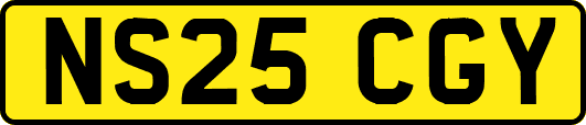 NS25CGY