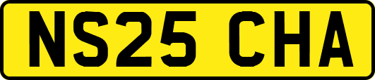 NS25CHA