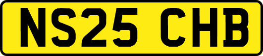 NS25CHB