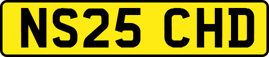 NS25CHD