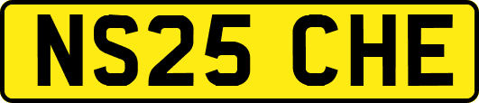 NS25CHE