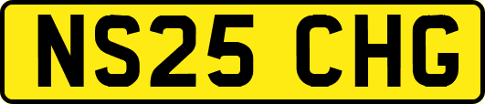 NS25CHG