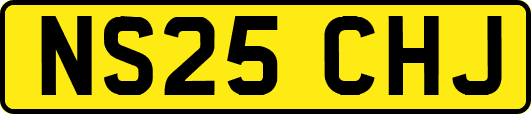 NS25CHJ