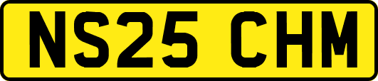 NS25CHM