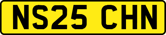 NS25CHN