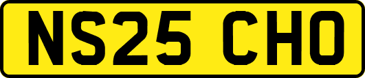 NS25CHO