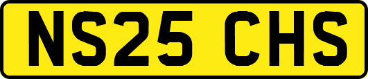NS25CHS