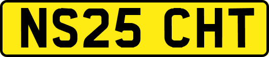 NS25CHT