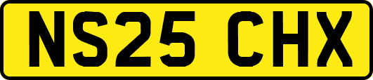 NS25CHX