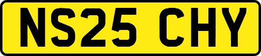 NS25CHY