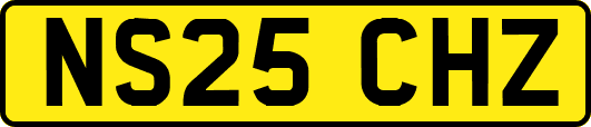 NS25CHZ