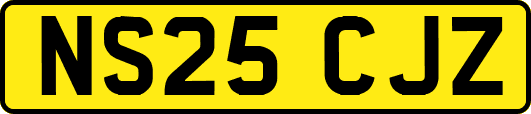 NS25CJZ