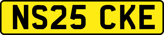 NS25CKE